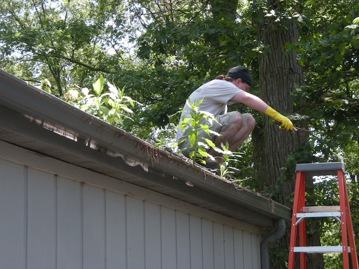 cleaning_gutters