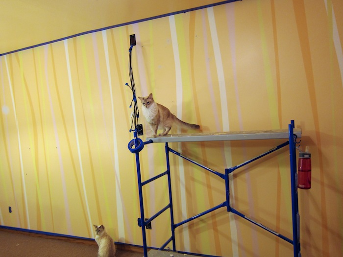 paint_striped_wall1