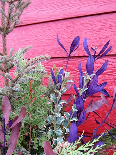 winter_floral_arrangement_ 2