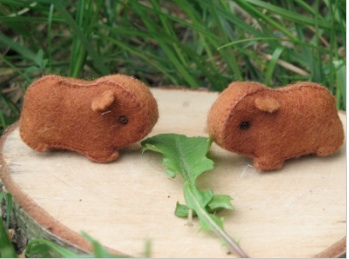 Guinea pig outlet plush pattern