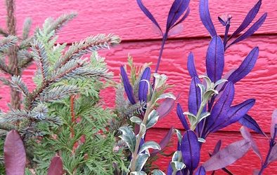 Winter floral arrangement