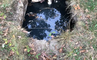 Septic tank woes