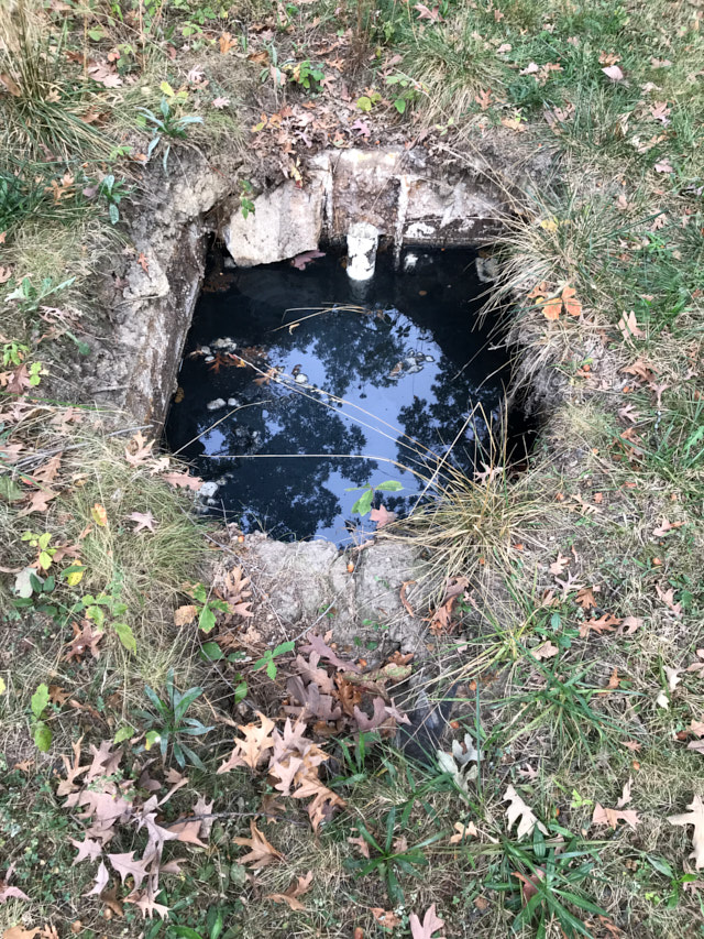 Septic tank woes