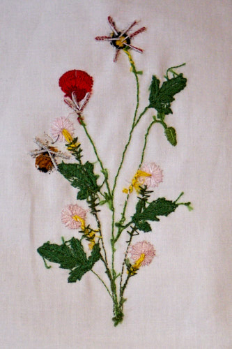 Poppies and Santa Barbara Daisies (Celeste Chalasani) stumpwork embroidery