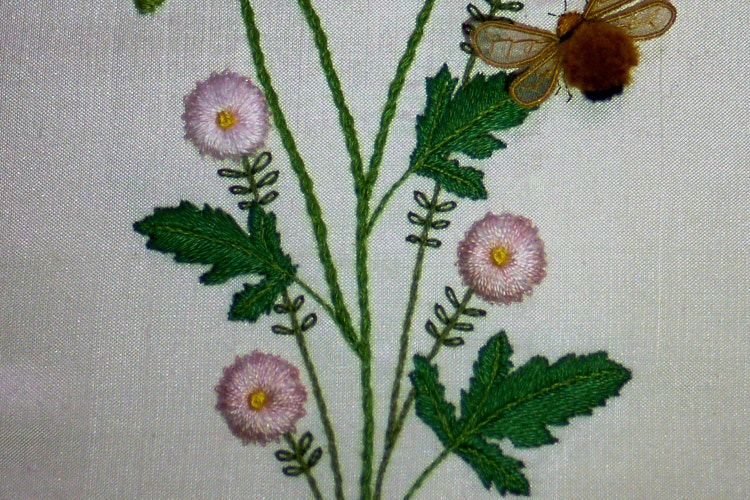 Poppies and Santa Barbara Daisies (Celeste Chalasani) stumpwork embroidery