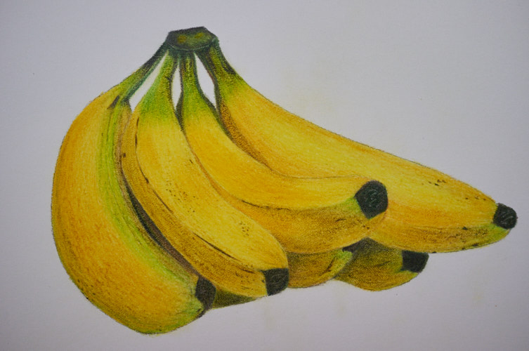 Banana  Colored Pencil Art