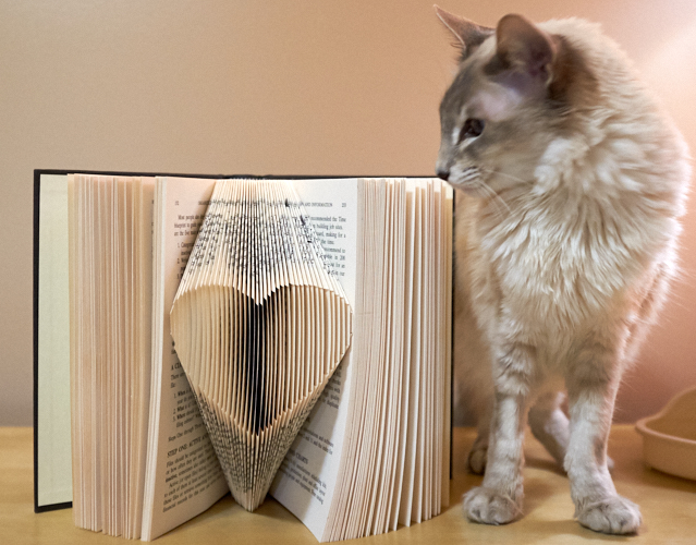 Book folding: heart (with cat)