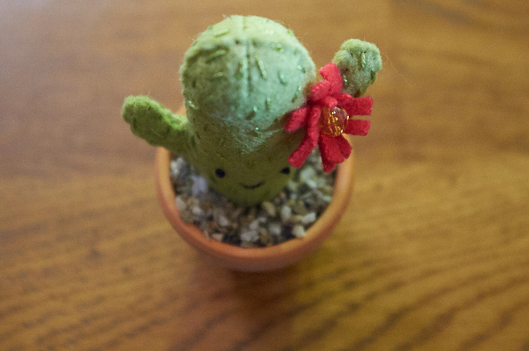 mini felt cactus