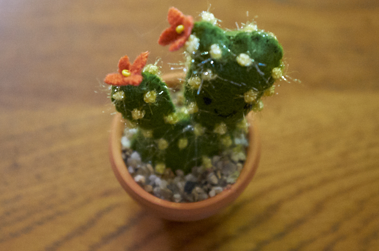 mini felt cactus