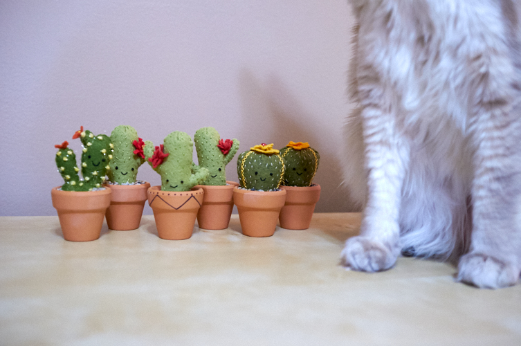 mini felt cacti