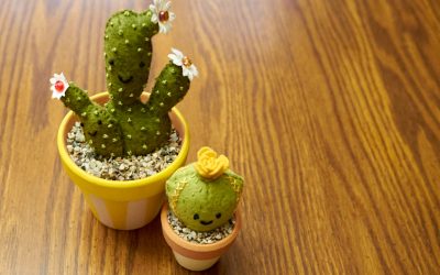 even more cacti