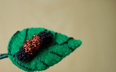 Woolly worm on a leaf