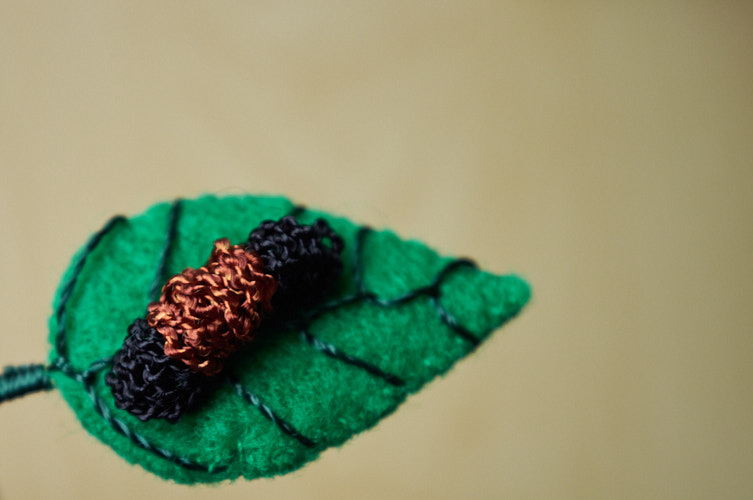 Woolly worm on a leaf