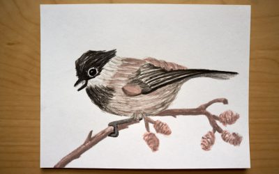 Inkwash: Chickadee