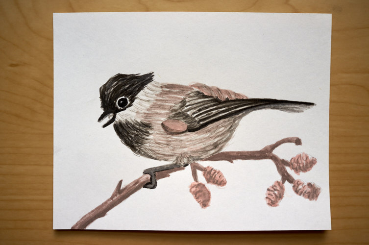 Inkwash: Chickadee