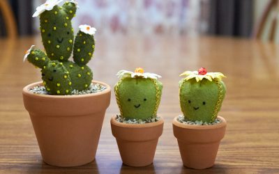 Cacti Family