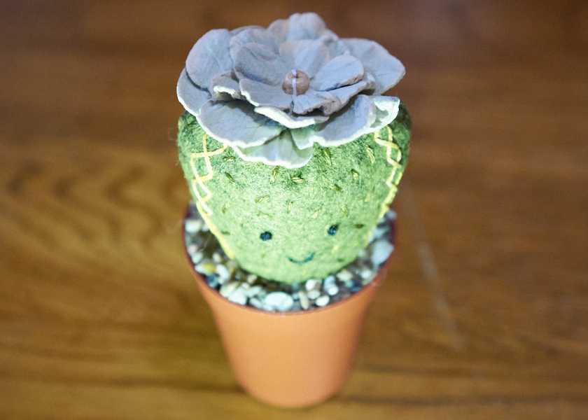 Cactus and a mug rug