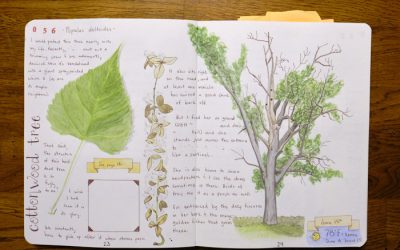 Nature Journal v2